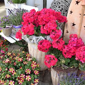 Blumen
